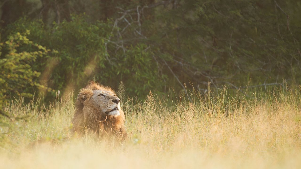 Hoe kies je de beste rondreis door Zuid-Afrika? | Matoke Tours